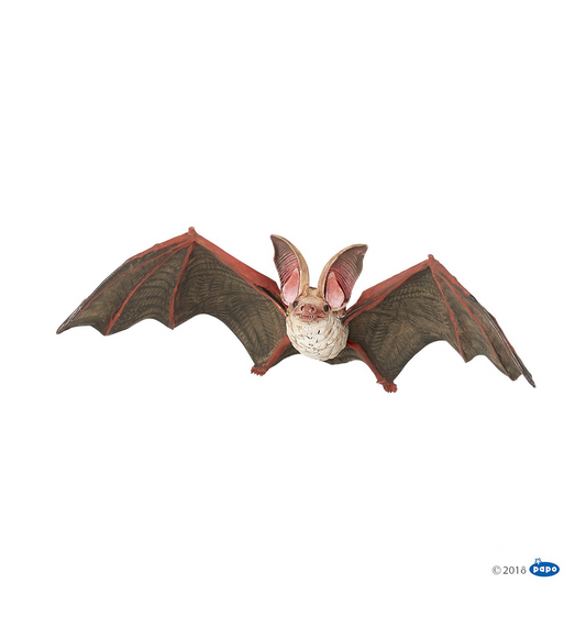 CHAUVE-SOURIS