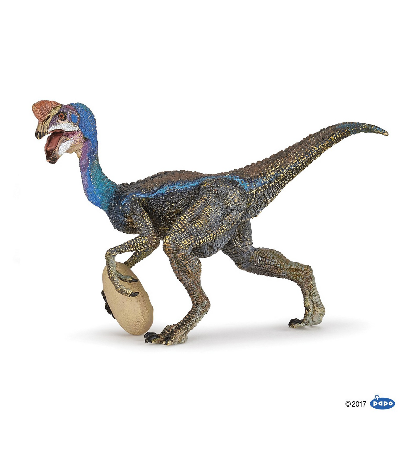 OVIRAPTOR BLEU