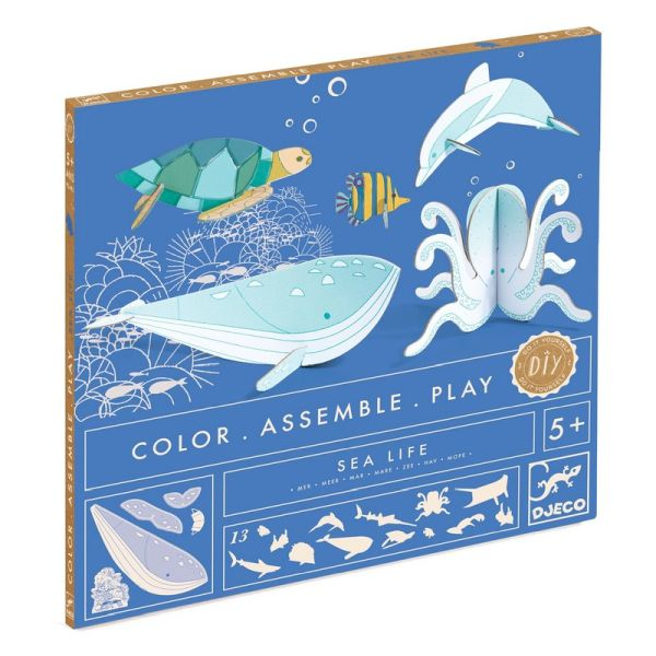 COLOR ASSEMBLE PLAY "MER"