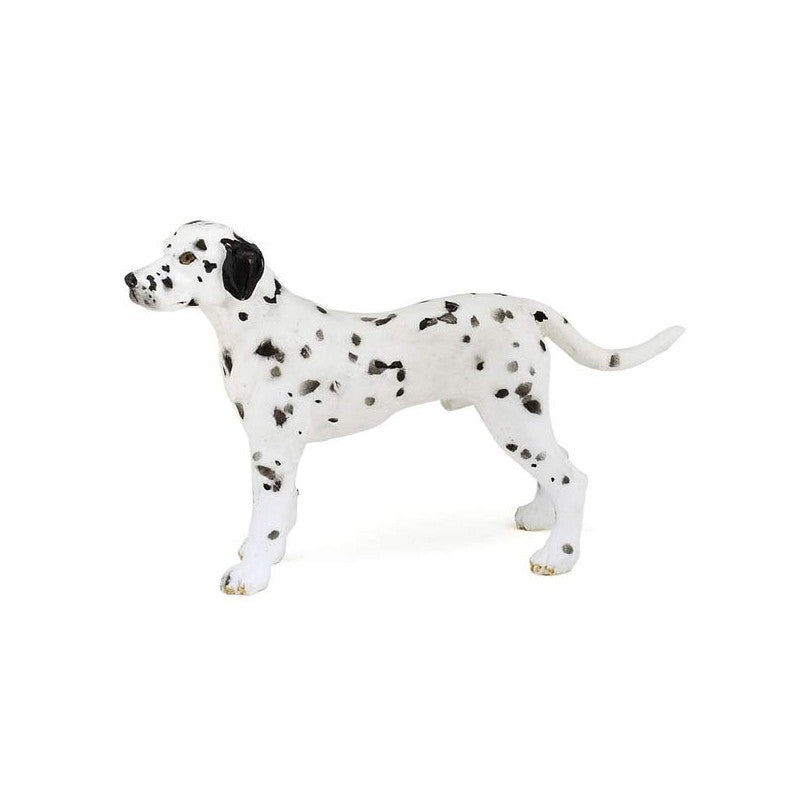 DALMATIEN